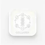 Collagen Formation