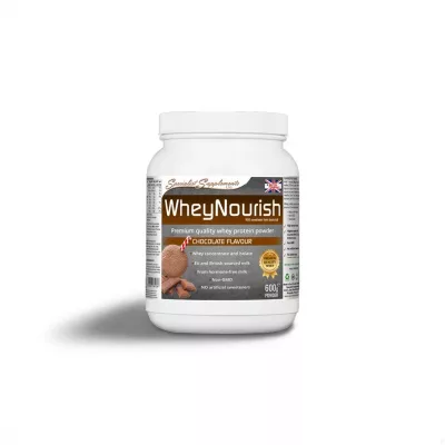 Chocolate Whey Protein Powder