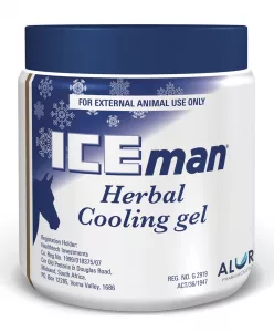 Iceman